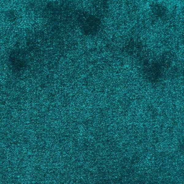 Karpet Bristol