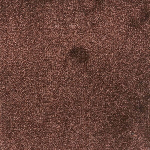 Karpet Bristol