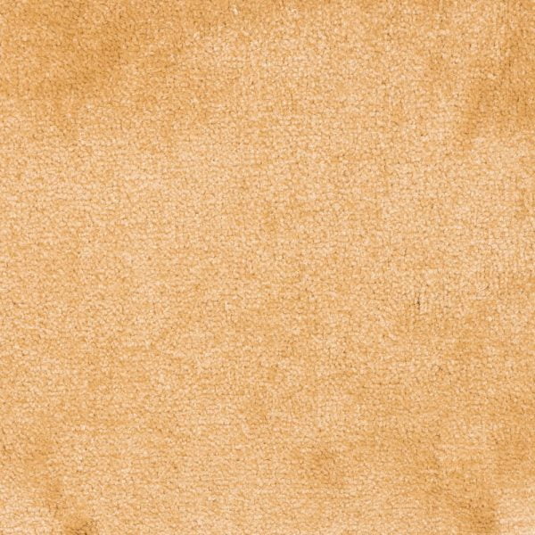 Karpet Bristol